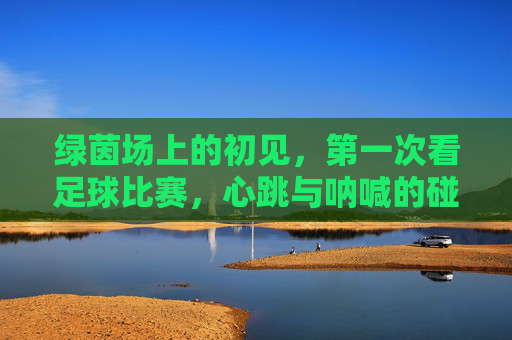 绿茵场上的初见，第一次看足球比赛，心跳与呐喊的碰撞