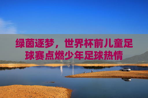 绿茵逐梦，世界杯前儿童足球赛点燃少年足球热情