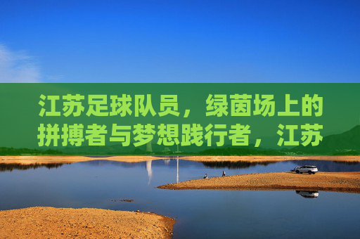 江苏足球队员，绿茵场上的拼搏者与梦想践行者，江苏足球队员，绿茵场上的拼搏者与梦想践行者