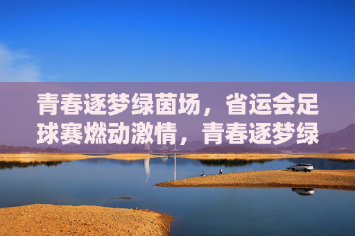 青春逐梦绿茵场,省运会足球赛燃动激情,青春逐梦绿茵场,省运会足球赛燃动激情