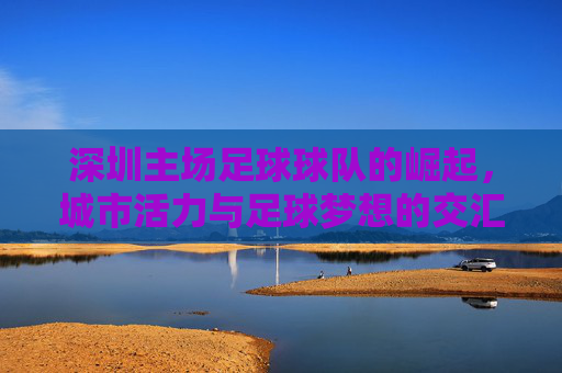 深圳主场足球球队的崛起,城市活力与足球梦想的交汇点