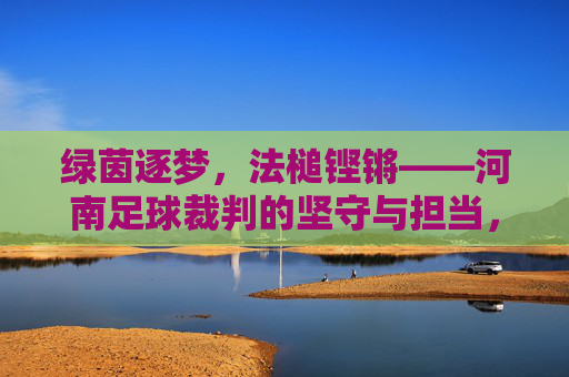 绿茵逐梦，法槌铿锵——河南足球裁判的坚守与担当，绿茵逐梦，法槌铿锵——河南足球裁判的坚守与担当