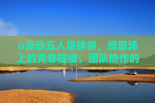 u互动五人足球赛，绿茵场上的青春碰撞，团队协作的激情绽放，u互动五人足球赛，绿茵场青春碰撞与团队协作的激情绽放