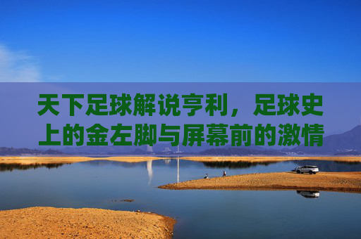 天下足球解说亨利，足球史上的金左脚与屏幕前的激情演绎，天下足球亨利，足球史上的金左脚与屏幕前的激情演绎