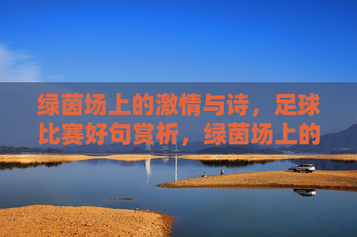 绿茵场上的激情与诗,足球比赛好句赏析,绿茵场上的激情与诗,足球比赛好句赏析