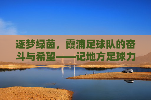 逐梦绿茵,霞浦足球队的奋斗与希望——记地方足球力量的小城故事,逐梦绿茵,霞浦足球队的奋斗与希望——记地方足球力量的小城故事