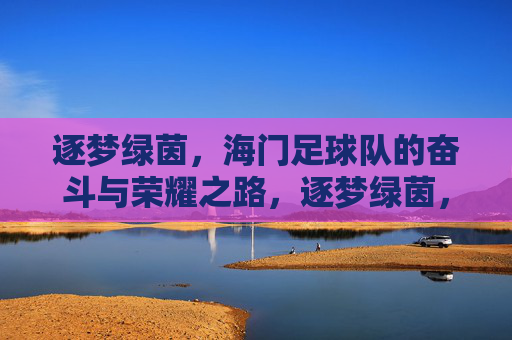 逐梦绿茵，海门足球队的奋斗与荣耀之路，逐梦绿茵，海门足球队的奋斗与荣耀之路