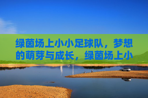 绿茵场上小小足球队,梦想的萌芽与成长,绿茵场上小小足球队的梦想萌芽与成长