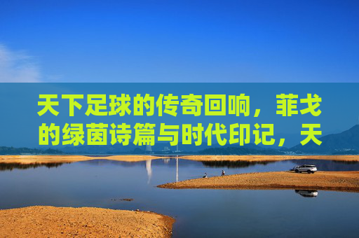 天下足球的传奇回响，菲戈的绿茵诗篇与时代印记，天下足球的传奇回响，菲戈的绿茵诗篇与时代印记