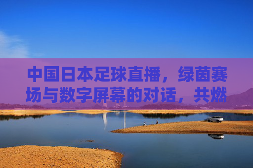 中国日本足球直播,绿茵赛场与数字屏幕的对话,共燃足球激情的数字盛宴,中国日本足球直播,绿茵赛场与数字屏幕的对话,共燃足球激情的数字盛宴