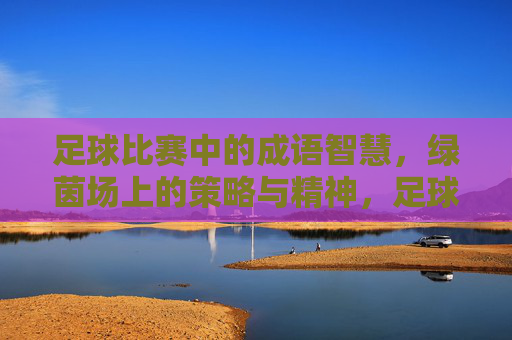 足球比赛中的成语智慧,绿茵场上的策略与精神,足球比赛中的成语智慧,绿茵场上的策略与精神