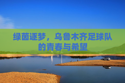 绿茵逐梦,乌鲁木齐足球队的青春与希望