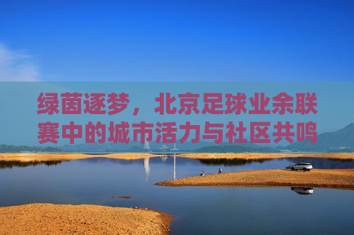 绿茵逐梦,北京足球业余联赛中的城市活力与社区共鸣