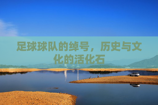 足球球队的绰号,历史与文化的活化石