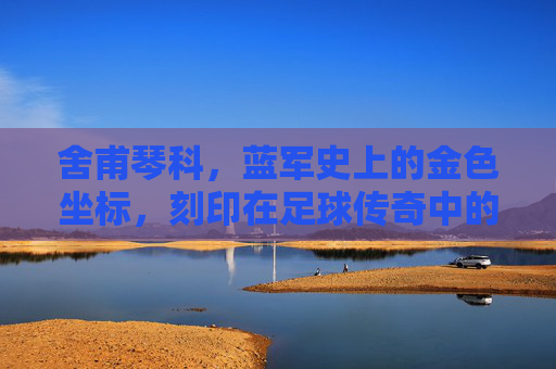 舍甫琴科,蓝军史上的金色坐标,刻印在足球传奇中的不朽篇章