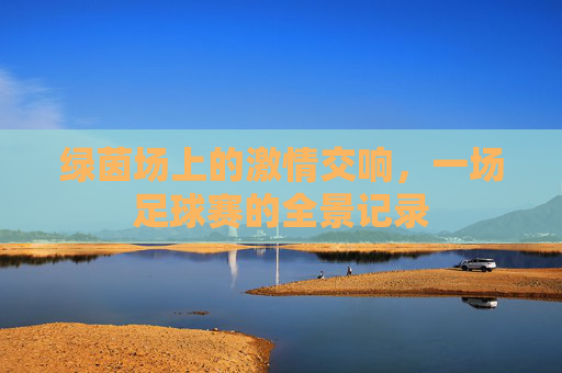 绿茵场上的激情交响，一场足球赛的全景记录