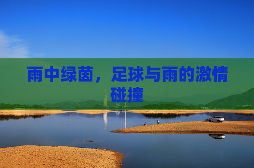雨中绿茵,足球与雨的激情碰撞