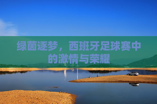 绿茵逐梦,西班牙足球赛中的激情与荣耀