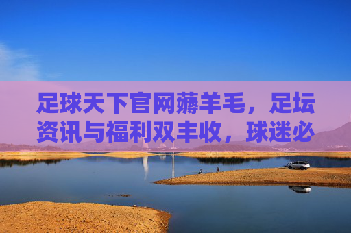 足球天下官网薅羊毛,足坛资讯与福利双丰收,球迷必看攻略