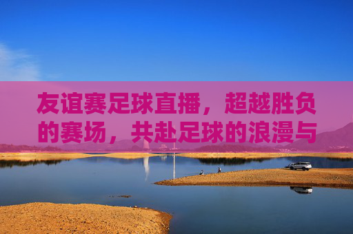 友谊赛足球直播，超越胜负的赛场，共赴足球的浪漫与激情