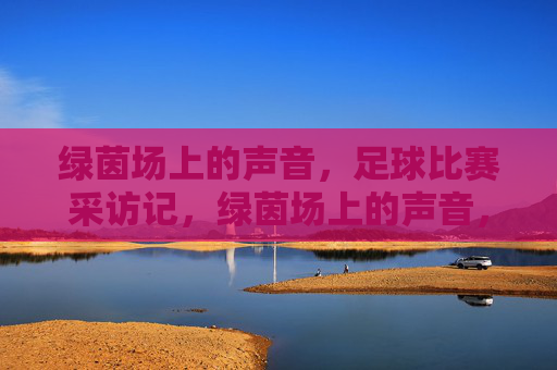 绿茵场上的声音，足球比赛采访记，绿茵场上的声音，足球比赛采访记