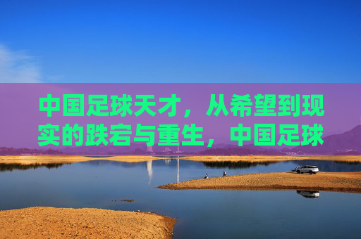 中国足球天才，从希望到现实的跌宕与重生，中国足球天才，从希望到现实的跌宕与重生
