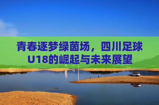 青春逐梦绿茵场,四川足球U18的崛起与未来展望