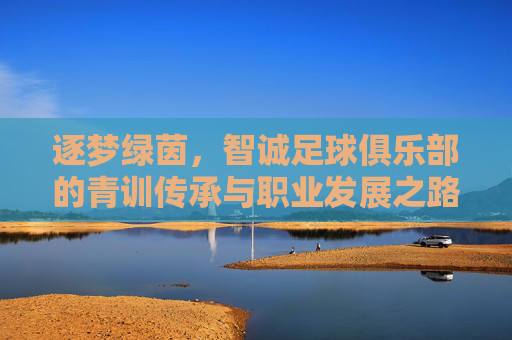 逐梦绿茵，智诚足球俱乐部的青训传承与职业发展之路