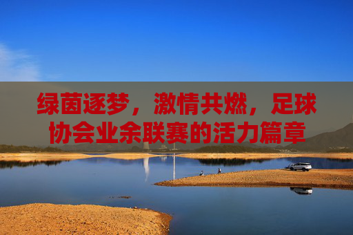 绿茵逐梦,激情共燃,足球协会业余联赛的活力篇章