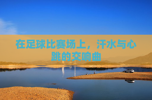 在足球比赛场上，汗水与心跳的交响曲
