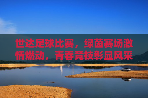 世达足球比赛,绿茵赛场激情燃动,青春竞技彰显风采