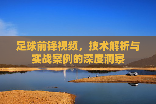 足球前锋视频，技术解析与实战案例的深度洞察