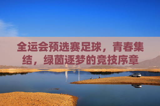 全运会预选赛足球,青春集结,绿茵逐梦的竞技序章