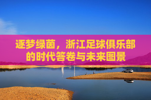 逐梦绿茵,浙江足球俱乐部的时代答卷与未来图景