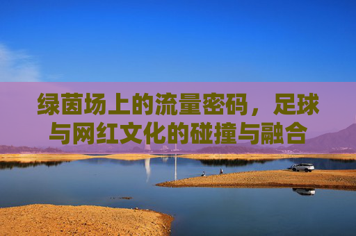 绿茵场上的流量密码,足球与网红文化的碰撞与融合