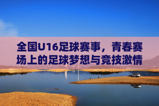 全国U16足球赛事,青春赛场上的足球梦想与竞技激情