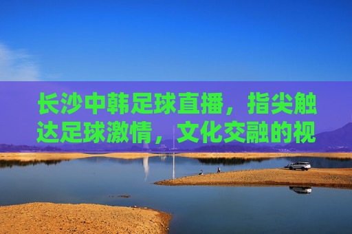长沙中韩足球直播,指尖触达足球激情,文化交融的视觉盛宴