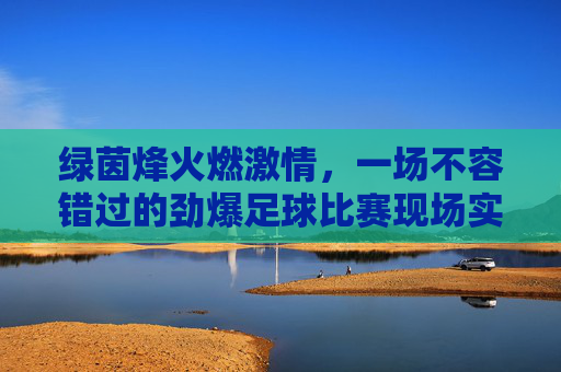 绿茵烽火燃激情,一场不容错过的劲爆足球比赛现场实录