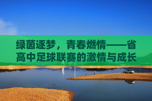 绿茵逐梦,青春燃情——省高中足球联赛的激情与成长,绿茵逐梦,青春燃情——省高中足球联赛的激情与成长
