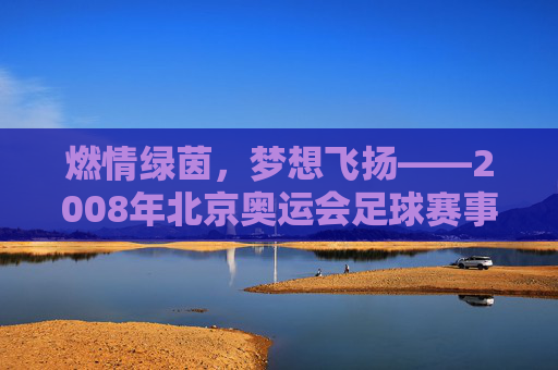 燃情绿茵,梦想飞扬——2008年北京奥运会足球赛事的璀璨记忆