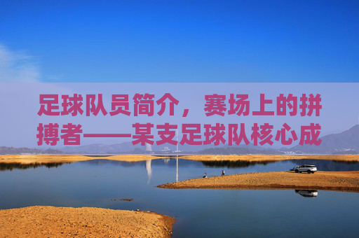 足球队员简介,赛场上的拼搏者——某支足球队核心成员风采与团队精神,足球队员简介,赛场上的拼搏者——某支足球队核心成员风采与团队精神