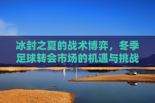 冰封之夏的战术博弈，冬季足球转会市场的机遇与挑战