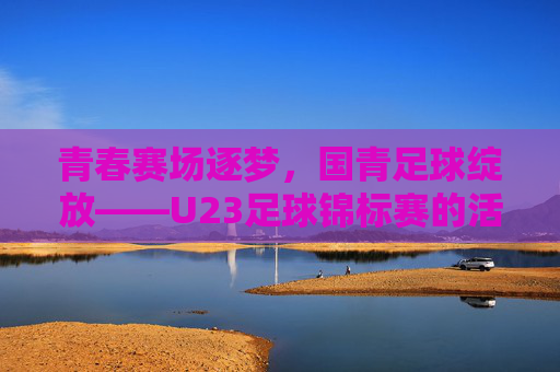 青春赛场逐梦,国青足球绽放——U23足球锦标赛的活力与荣耀,青春赛场逐梦,国青足球绽放——U23足球锦标赛的活力与荣耀