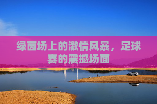 绿茵场上的激情风暴,足球赛的震撼场面