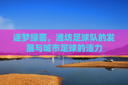 逐梦绿茵,潍坊足球队的发展与城市足球的活力