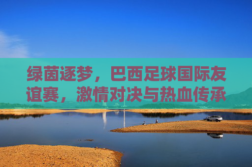 绿茵逐梦,巴西足球国际友谊赛,激情对决与热血传承