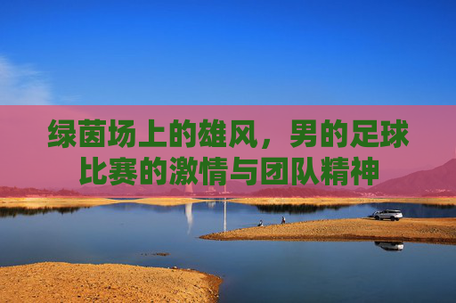 绿茵场上的雄风，男的足球比赛的激情与团队精神