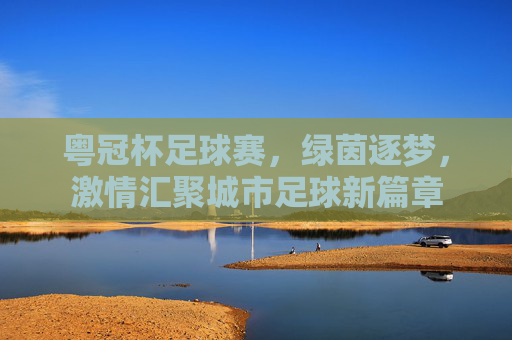 粤冠杯足球赛，绿茵逐梦，激情汇聚城市足球新篇章