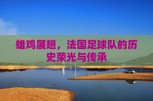 雄鸡展翅,法国足球队的历史荣光与传承