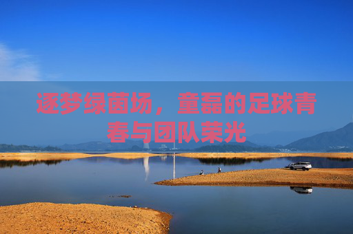 逐梦绿茵场，童磊的足球青春与团队荣光